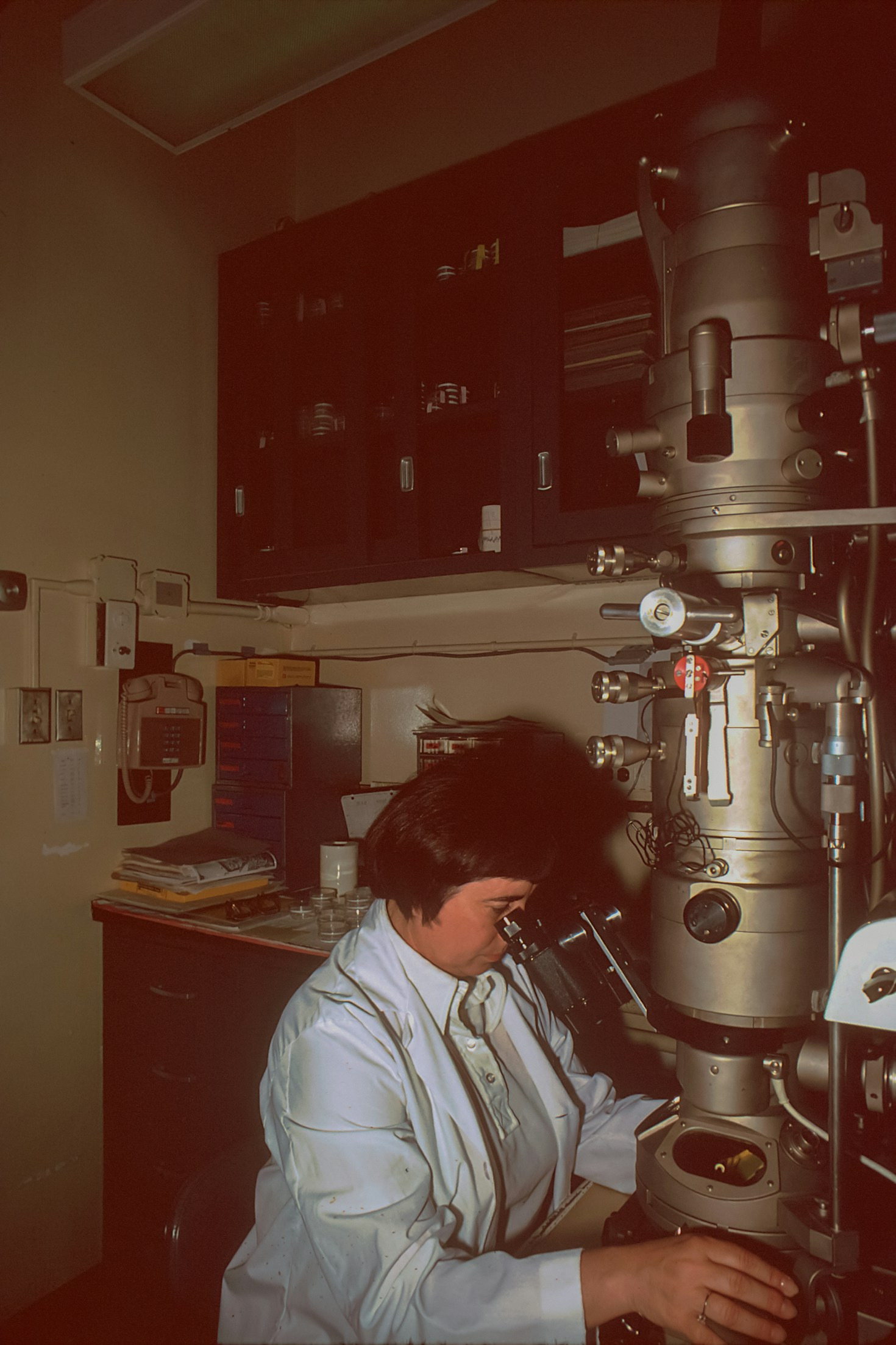 Introduction to Transmission Electron Microscopy